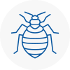 Bed Bug Extermination In Horbury