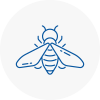 Bee Nest Removal Horbury