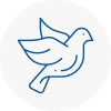 Bird Prevention Horbury