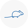 Mice Exterminators In Horbury