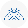 Moth Control Specialists In Horbury
