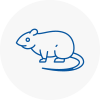 Rat Control Horbury