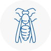 Horbury Wasp Nest Removal